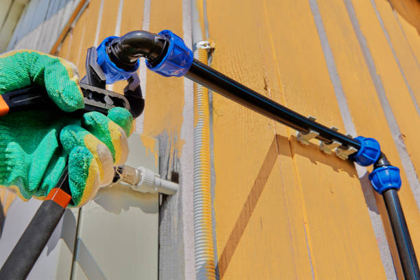 Best Toilet Repair Services  in Spring Valley, CA